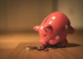 Fake Economy: Immigration, Welfare State, and Taxpayer Burden