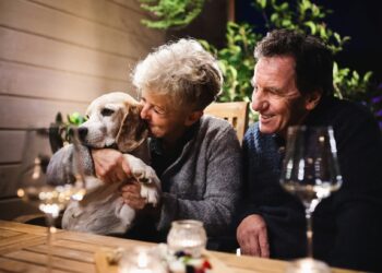 “Starter Retirement” Stocks to Buy Now