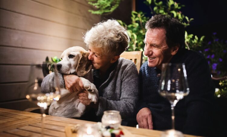 “Starter Retirement” Stocks to Buy Now