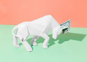 How to Spot a Bull Market REVEALED!