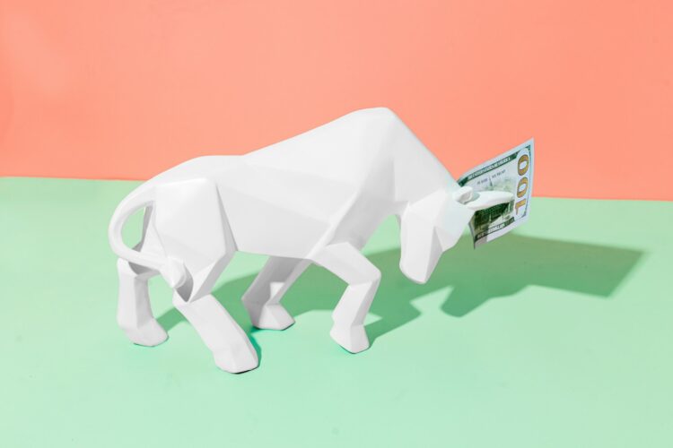 How to Spot a Bull Market REVEALED!