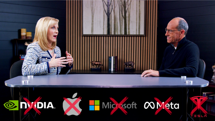 Do NOT Buy Nvidia, Apple, Microsoft, Meta, Tesla – or Any Other “Big Tech” Stock in 2024…